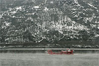 Bild_1 natur